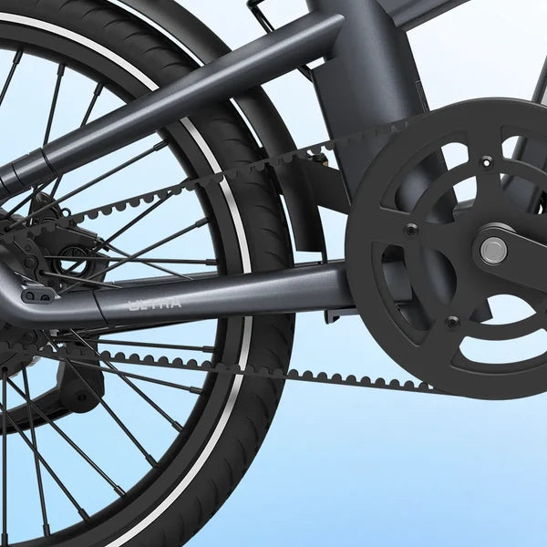 Carbon Belt Drivetrain