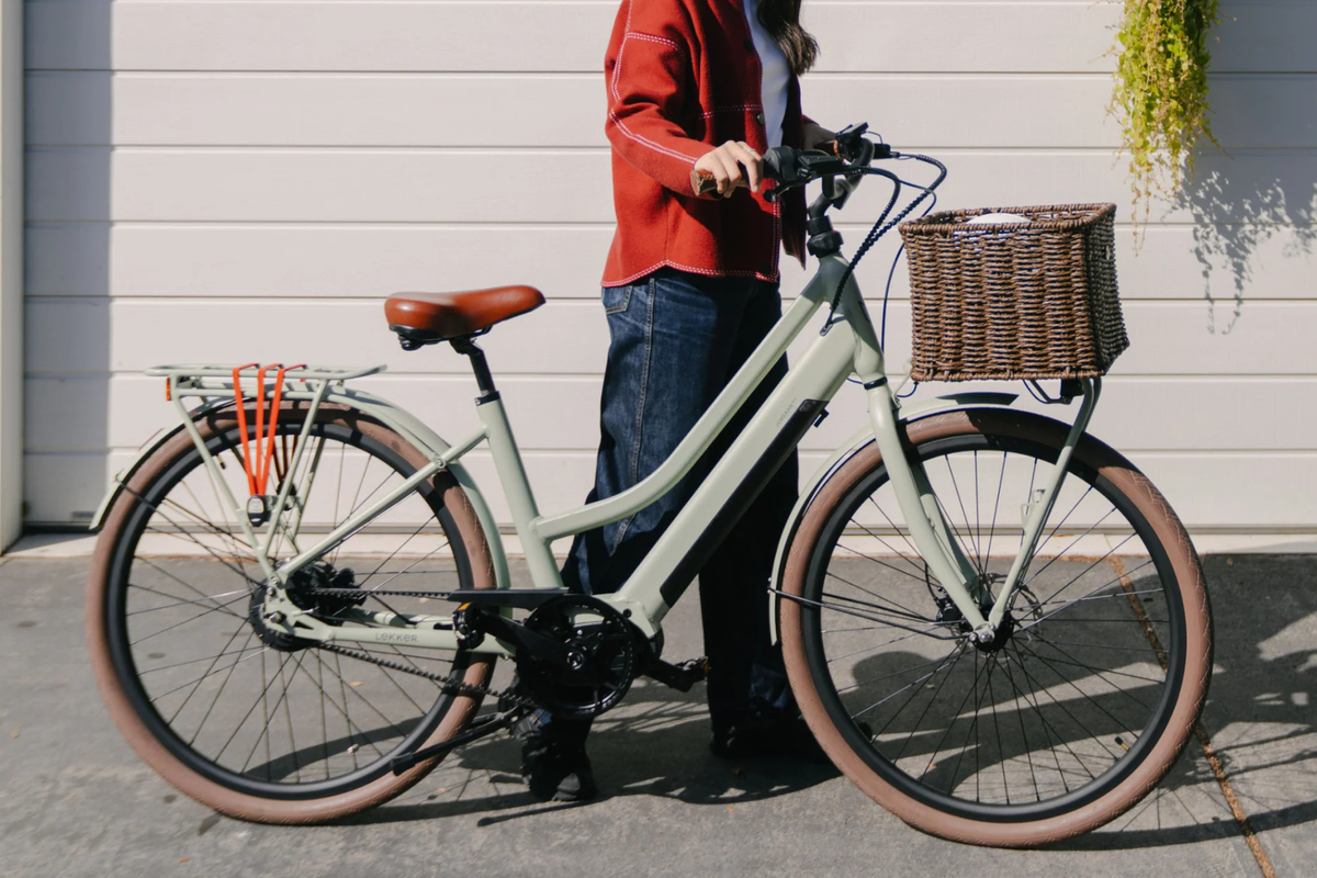 Electric Bike Guide