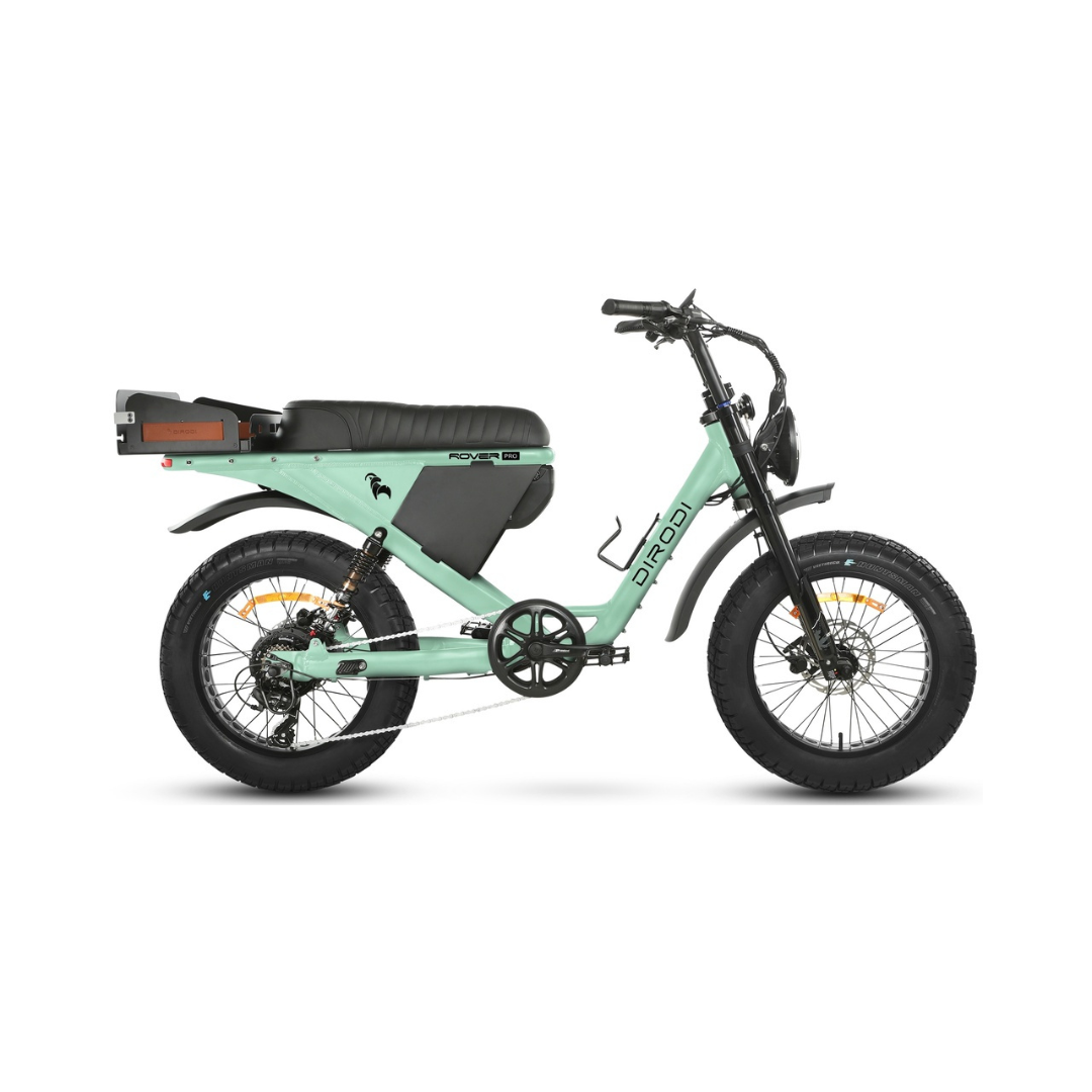 DiroDi Rover Pro 250w