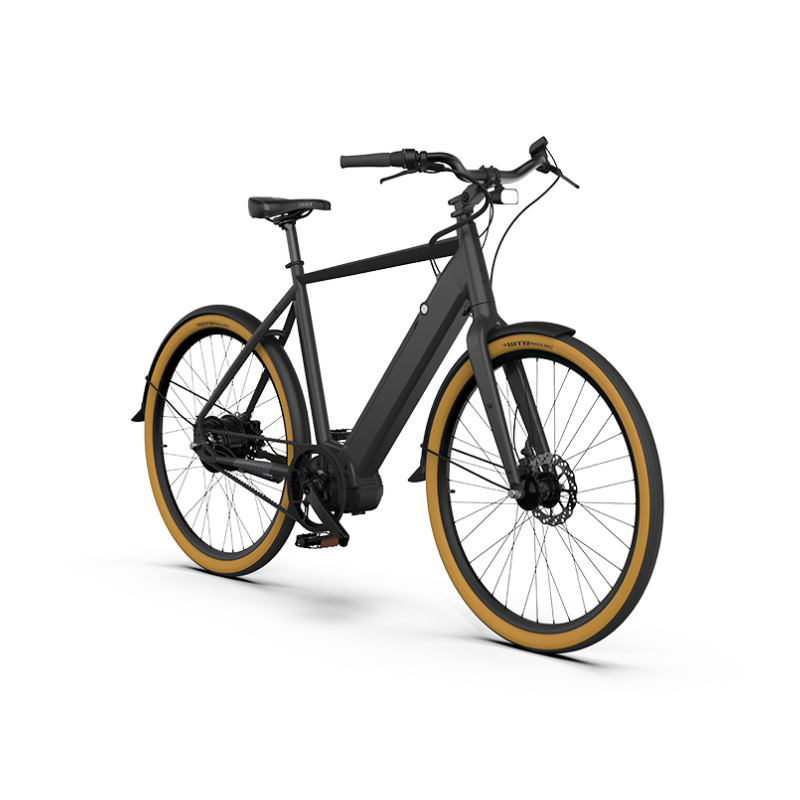Lekker top electric bike